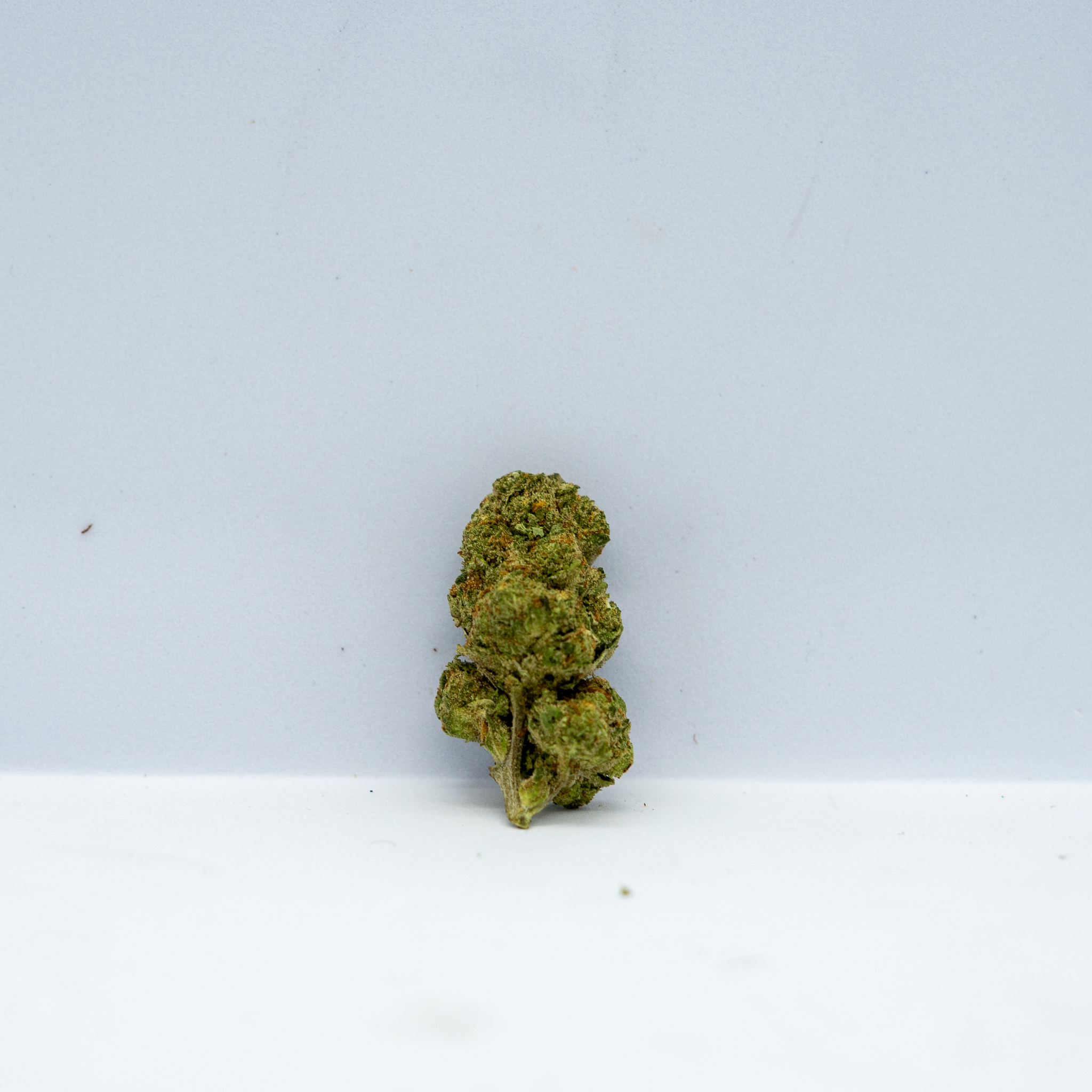 Wedding Cake ( 1 Gram )