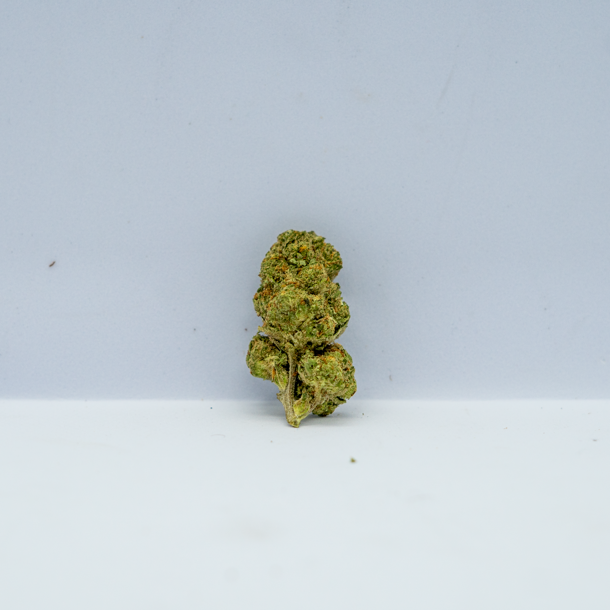 Wedding Cake ( 1 Gram )