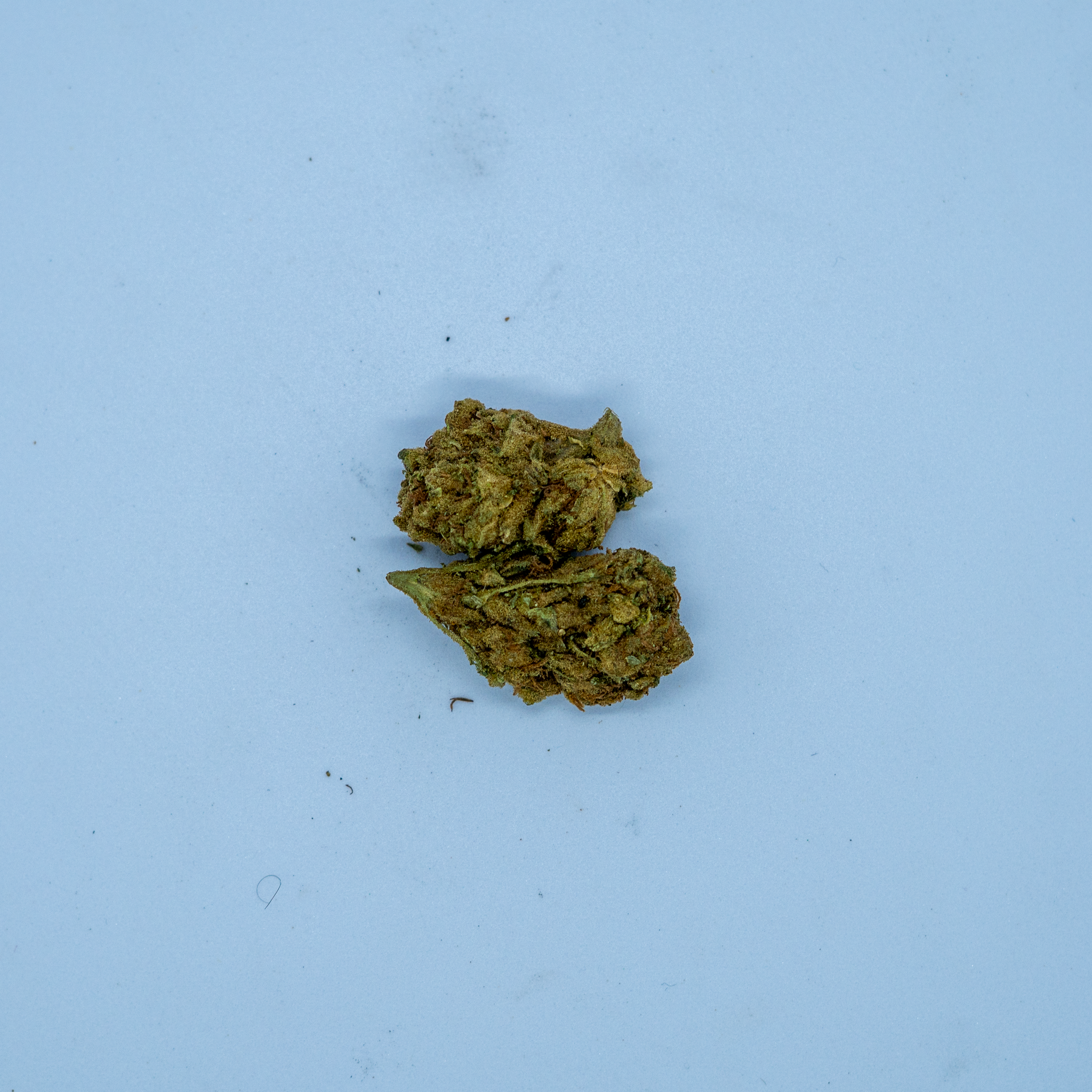 Banana Cake ( 10 Grams )