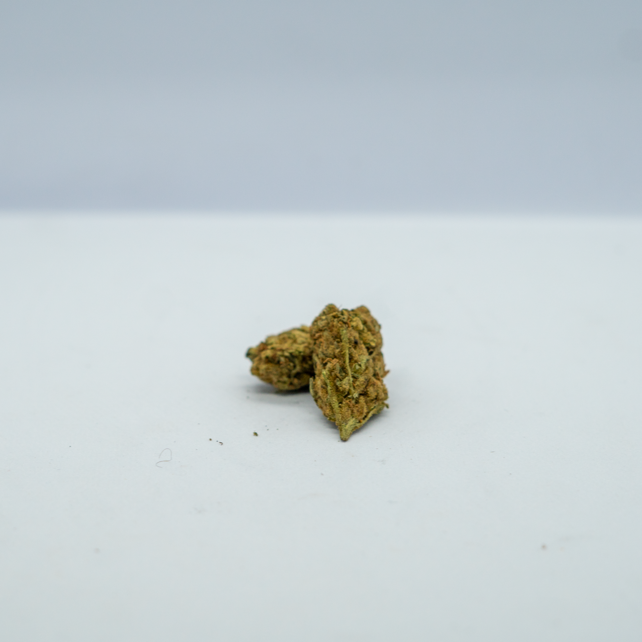 Banana Cake ( 10 Grams )