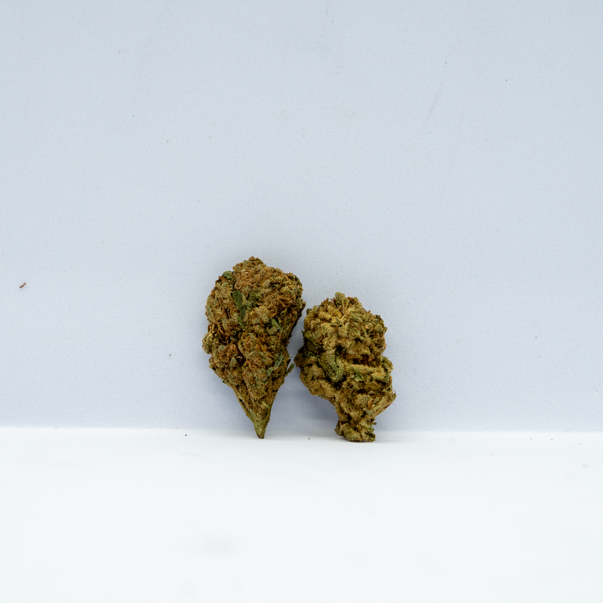 Banana Cake ( 10 Grams )