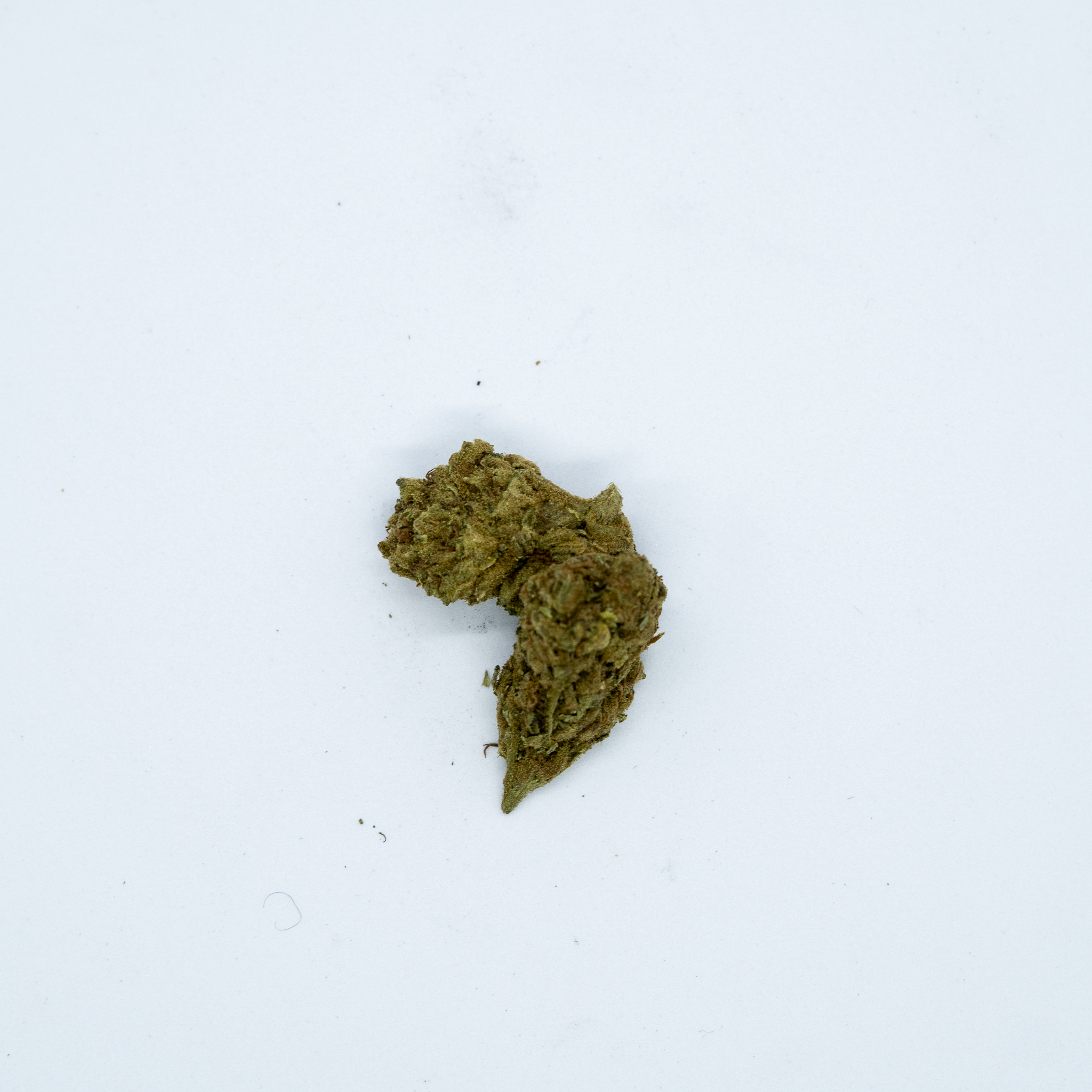Banana Cake ( 10 Grams )